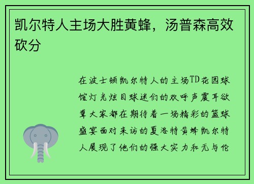 凯尔特人主场大胜黄蜂，汤普森高效砍分