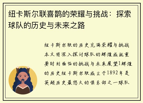 纽卡斯尔联喜鹊的荣耀与挑战：探索球队的历史与未来之路