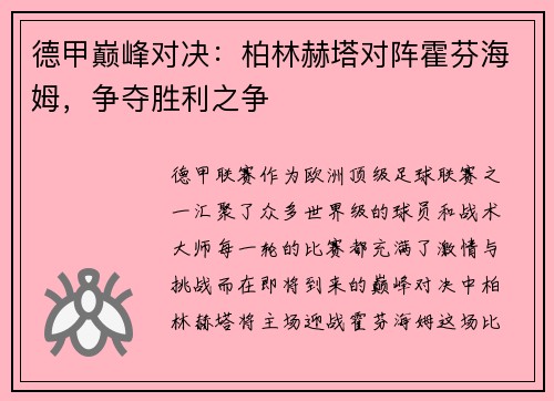 德甲巅峰对决：柏林赫塔对阵霍芬海姆，争夺胜利之争