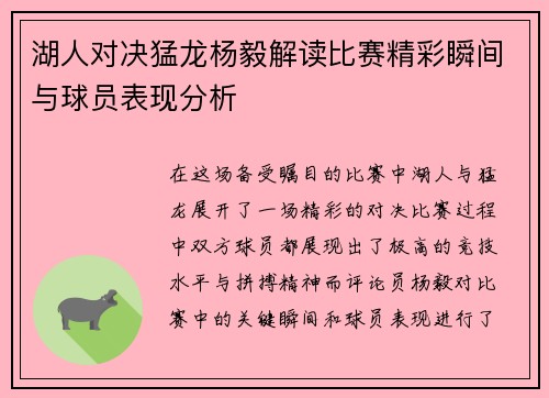 湖人对决猛龙杨毅解读比赛精彩瞬间与球员表现分析